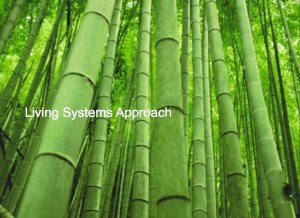 Living Systems Approach